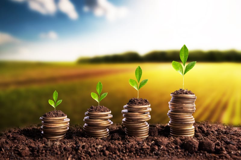 Agricultural Investment