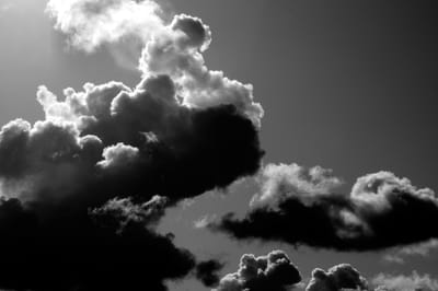 Darknet, black matter