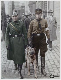 February 9, 2026: Echoes of Nazi Elections