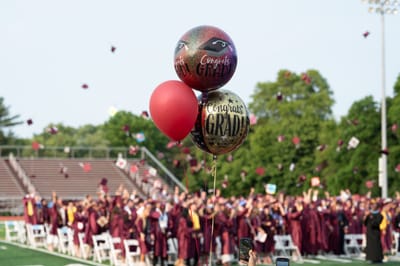 What to do after losing your diploma?