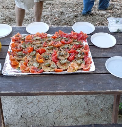 🍅 Acqua e sale con il Pomodoro Quarantino del Cilento