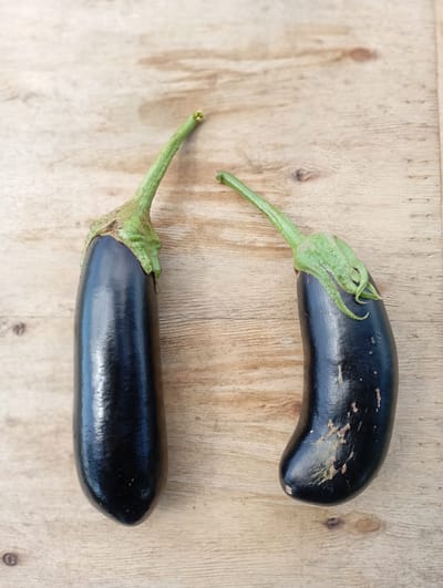 Prima e seconda scelta: cosa significa davvero per gli ortaggi?