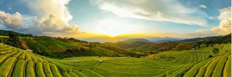 Decorative lamination films