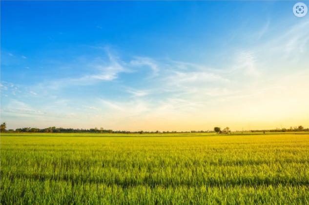 Decorative lamination films