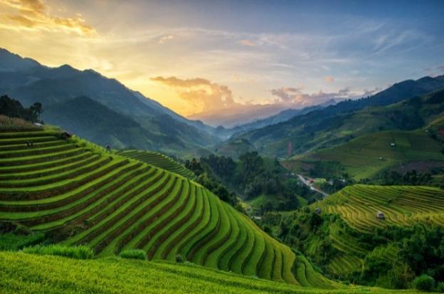 Decorative lamination films