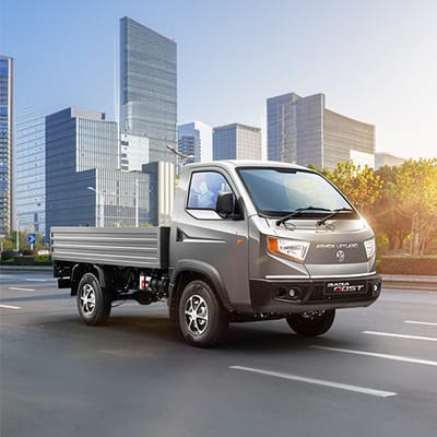 Ashok Leyland Dost Commercial Vehicles