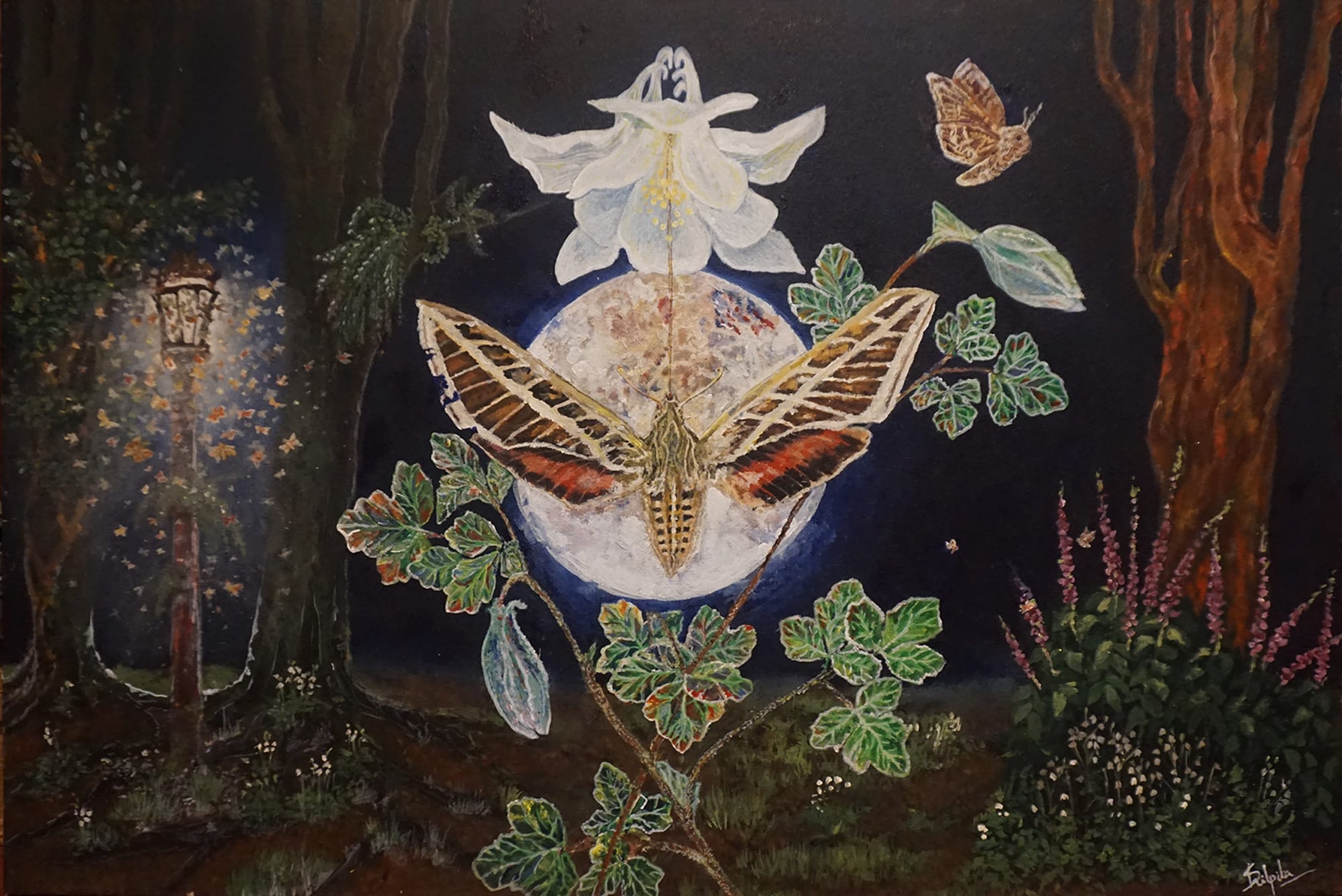 LIGHT - A Moths Journey