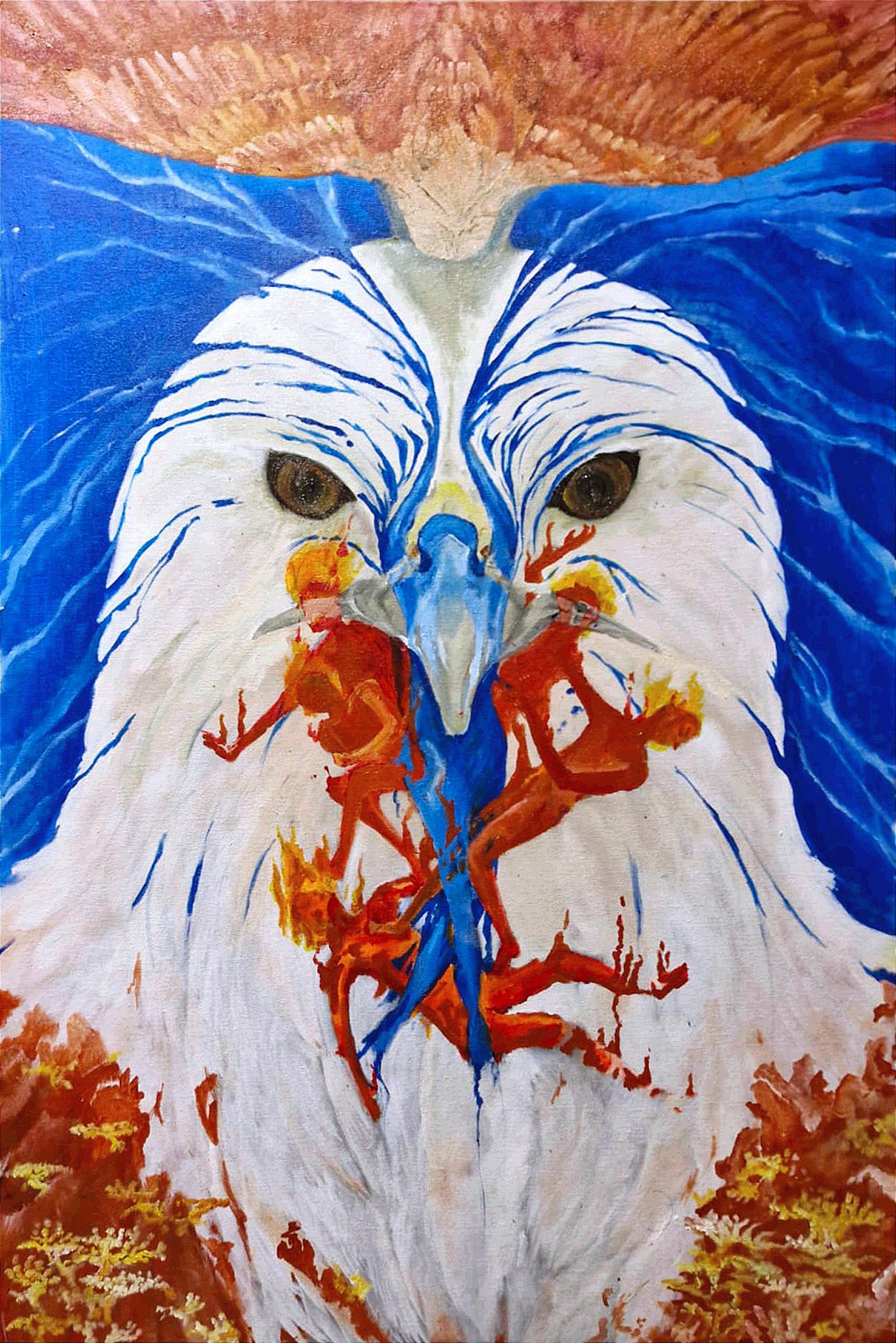 Wings of a Hawk
