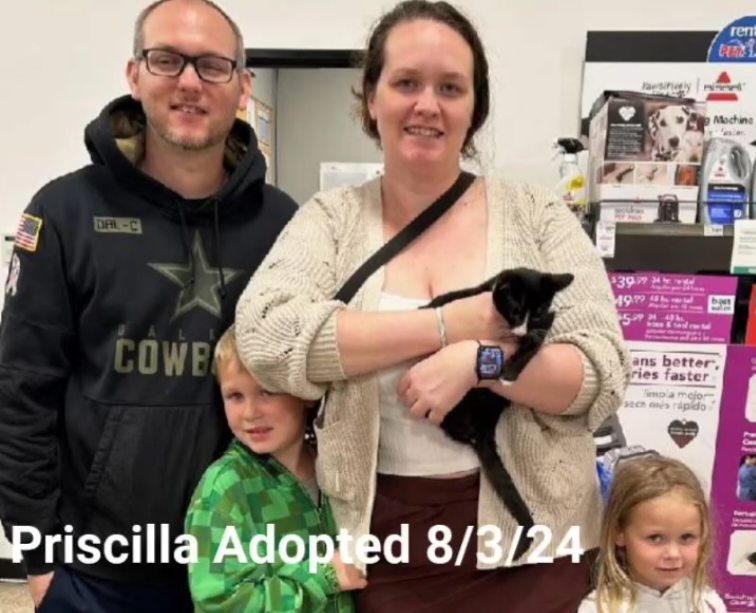 Priscilla Adopted
