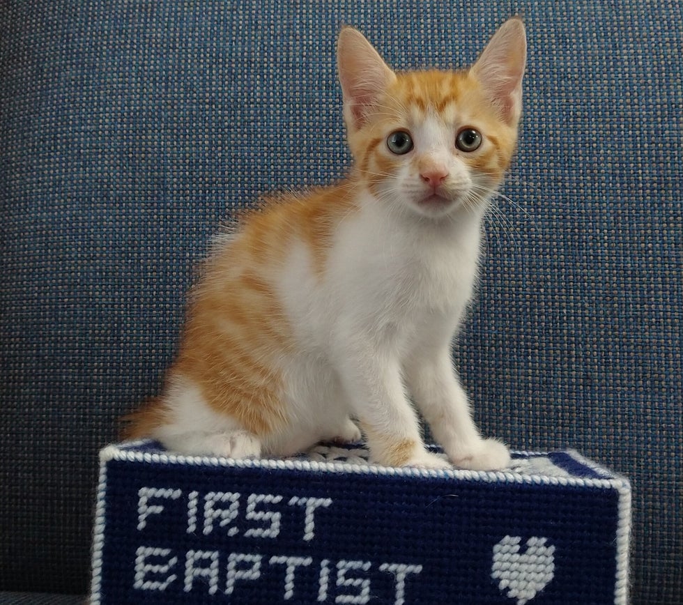 Nathan/Gustavo