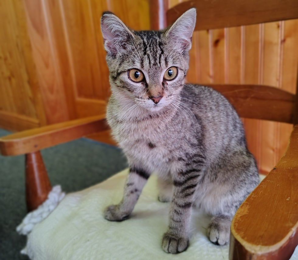 Elisa/Lulu