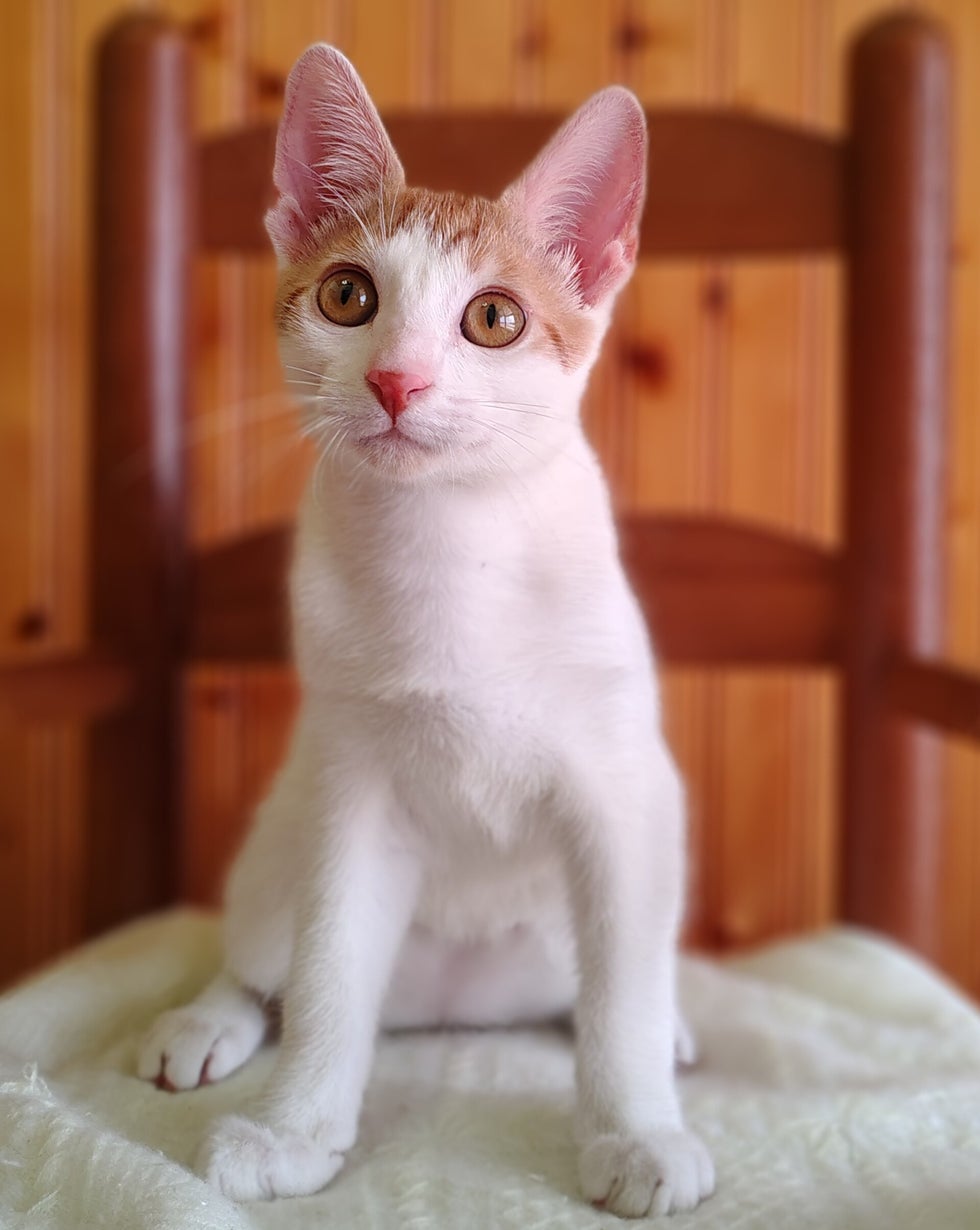 Phillip AKA Lil' Phil