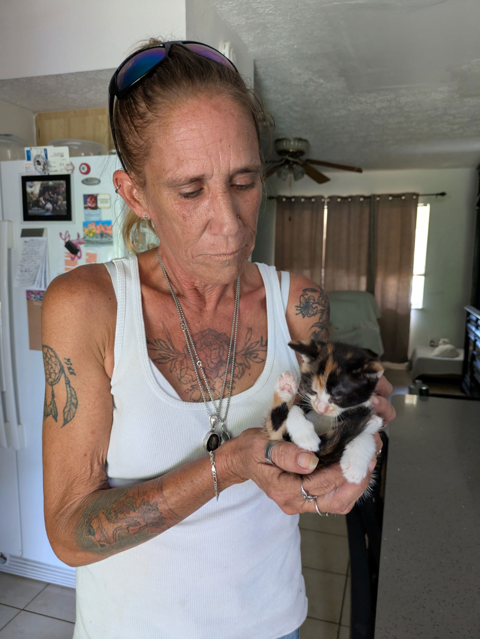 Dahlia Adopted