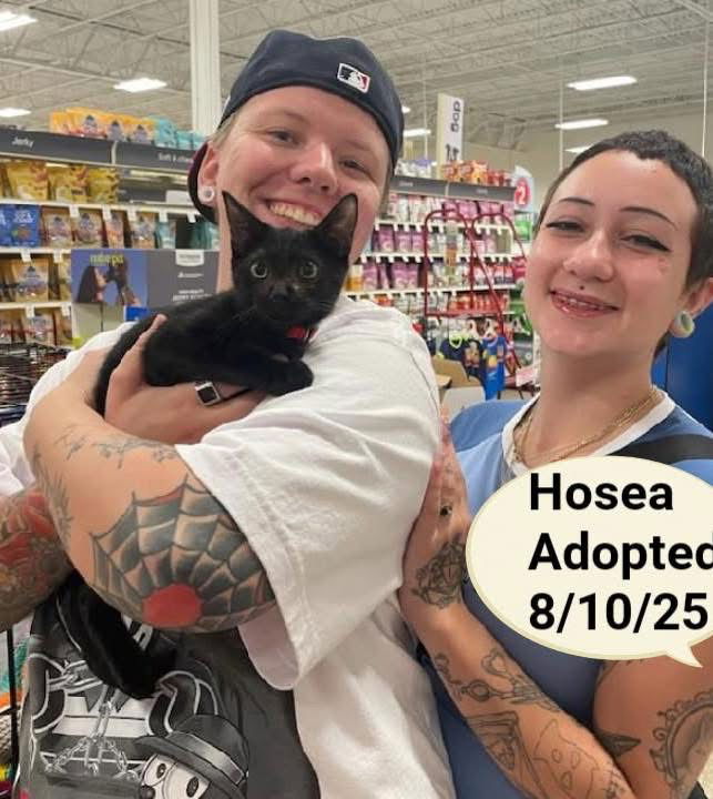 Hosea Adopted