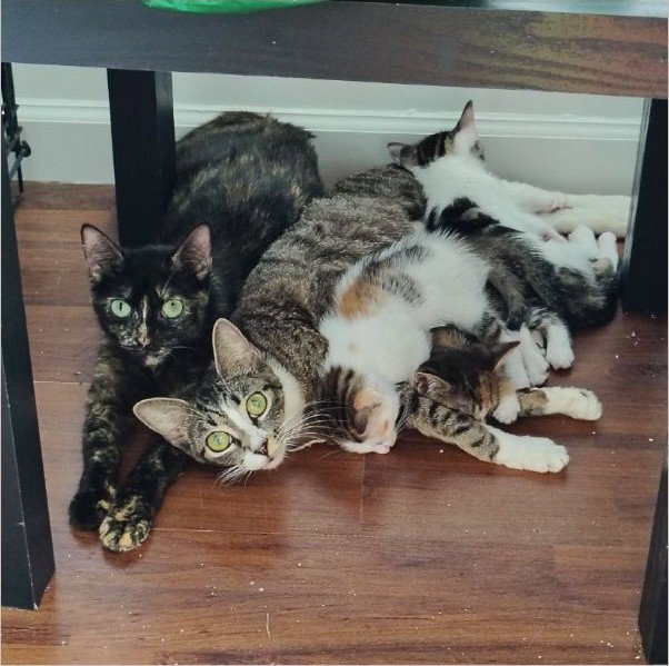 Treasure & Trinity