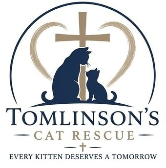 Tomlinson's White City Cat Rescue