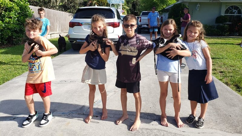 Phebe, Philetus, Philip, Philemon AKA Twinkie, & Priscilla 