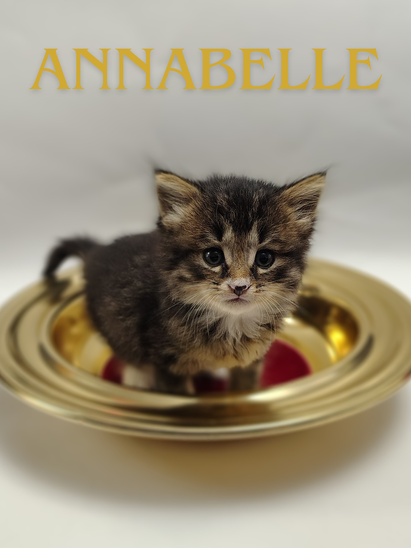 Annabelle & Isabelle 