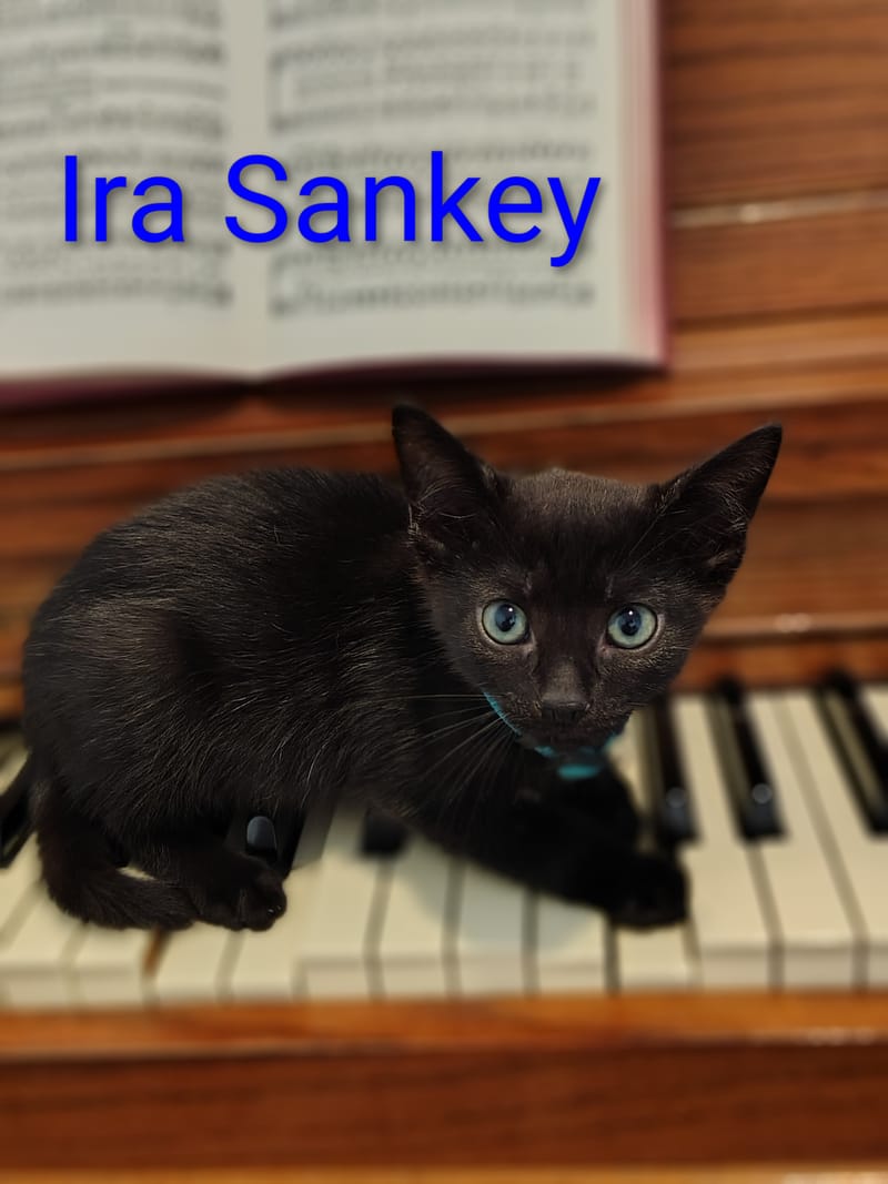 Isaac Watts, Philip Bliss, Frances Havergal, John Newton, Fanny Crosby, & Ira Sankey