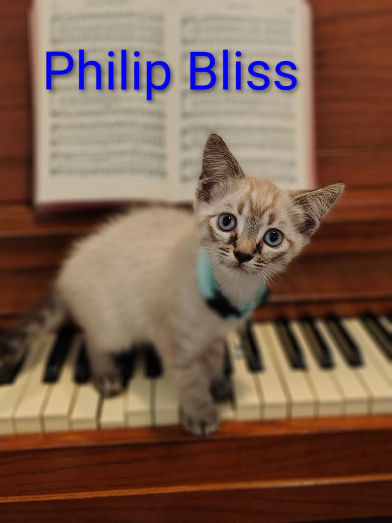 Isaac Watts, Philip Bliss, Frances Havergal, John Newton, Fanny Crosby, & Ira Sankey