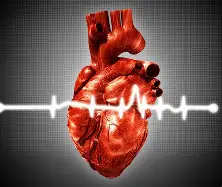 מהי בדיקת אקג ולמה זה חשוב