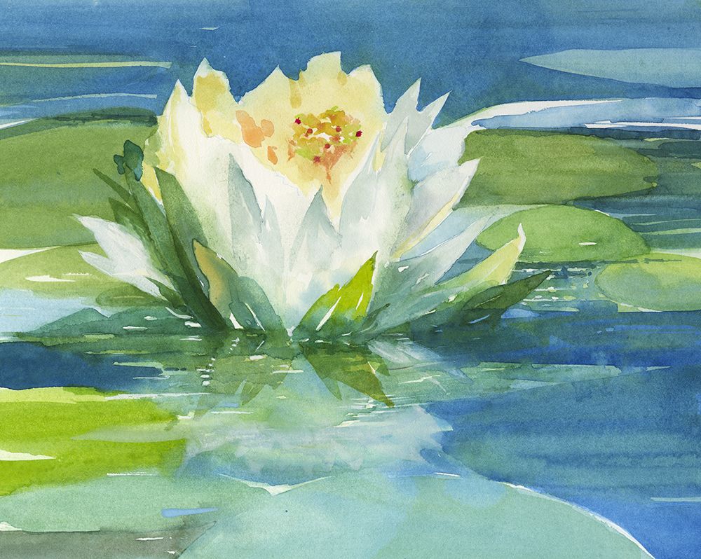 The Small-Town Secrets of Waterlily