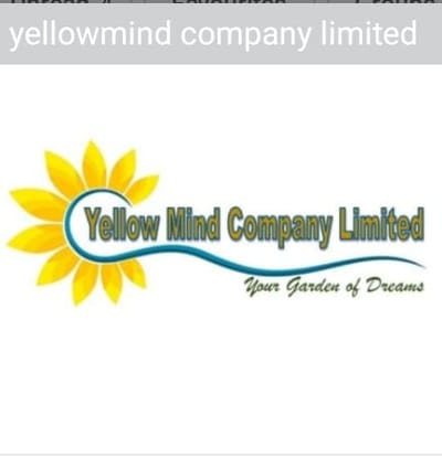 Yellowmind Company Limited