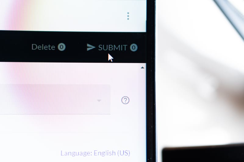Accessibility and language support during verification