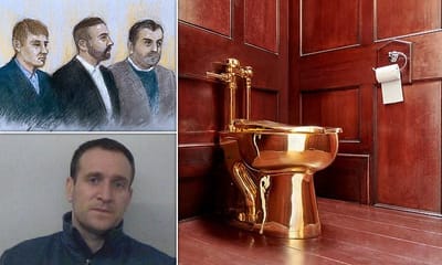 Blenheim Palace Gold Toilet Heist Exposed
