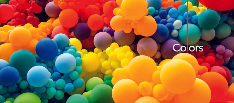 BBSF BRAND GUIDELINES