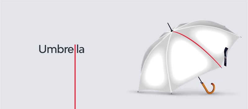 BBSF BRAND GUIDELINES