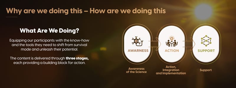 Dr. Nahla Bou Diab - The insititue of resilience E-Brochure