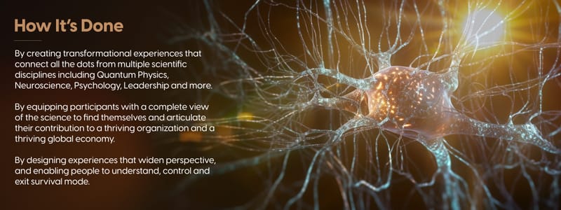 Dr. Nahla Bou Diab - The insititue of resilience E-Brochure