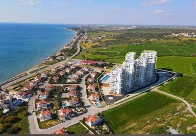 Abelia, Region Boğaz STUDIO