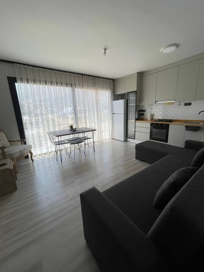 Apartament 1+1