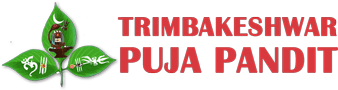 trimbakeshwarpujapandit.com