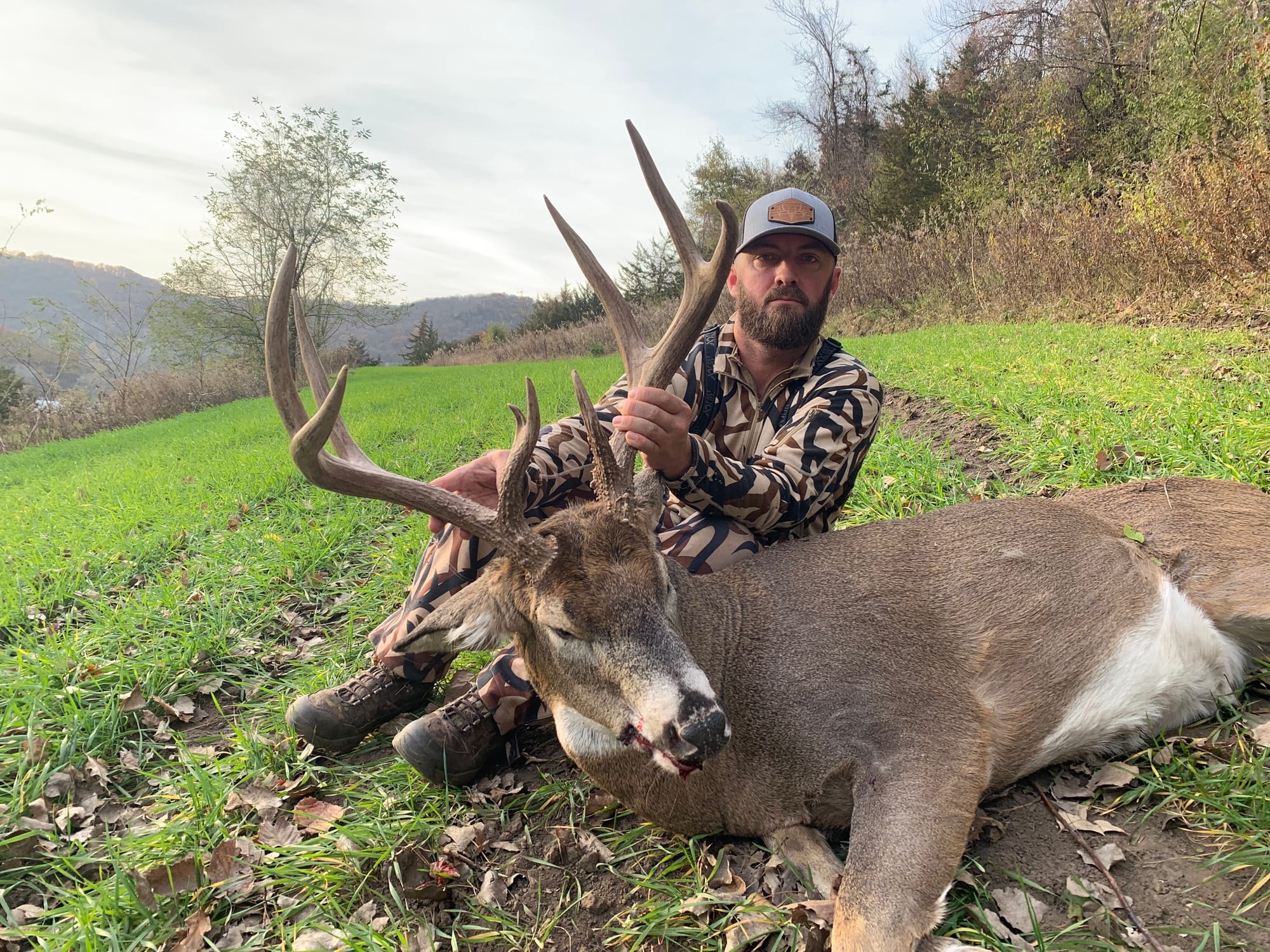 Whitetail deer recovered by drone