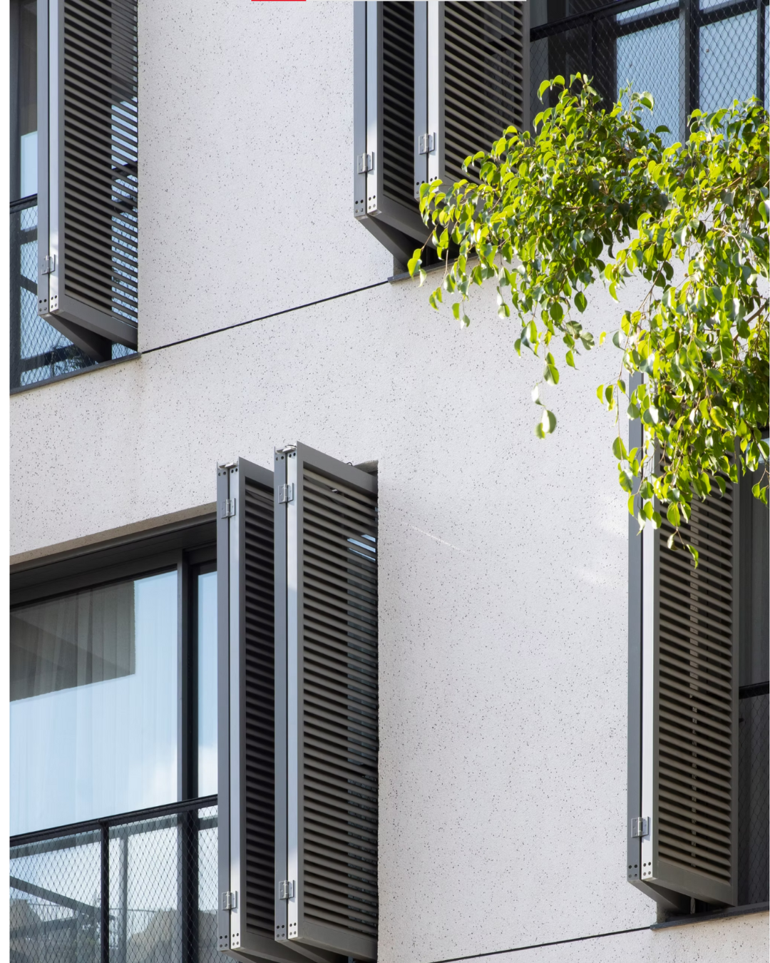 על הפרוייקט