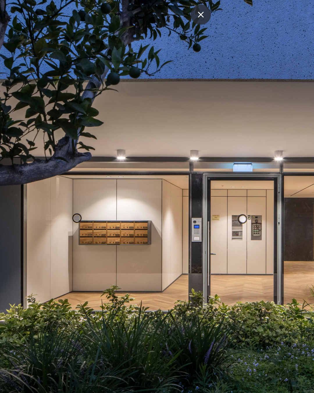 על הפרוייקט