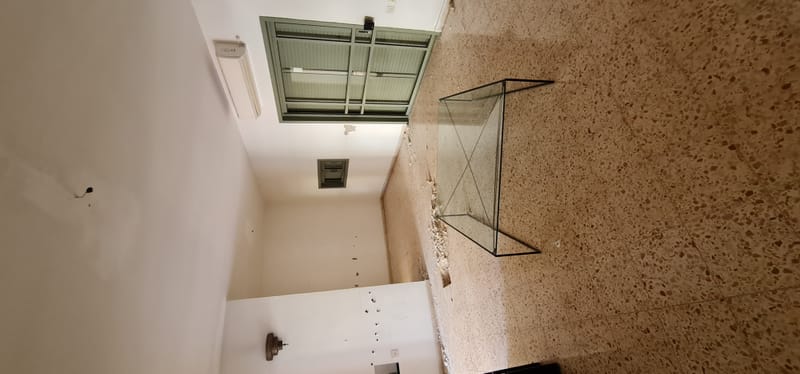 לפני ועשייה