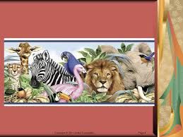 Folklores: The tortoise and other Animals Tale