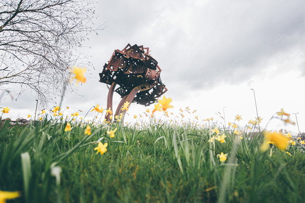 ** Celebrate St David’s Day in Carmarthenshire! Dydd Gŵyl Dewi Hapus i chi gyd!**