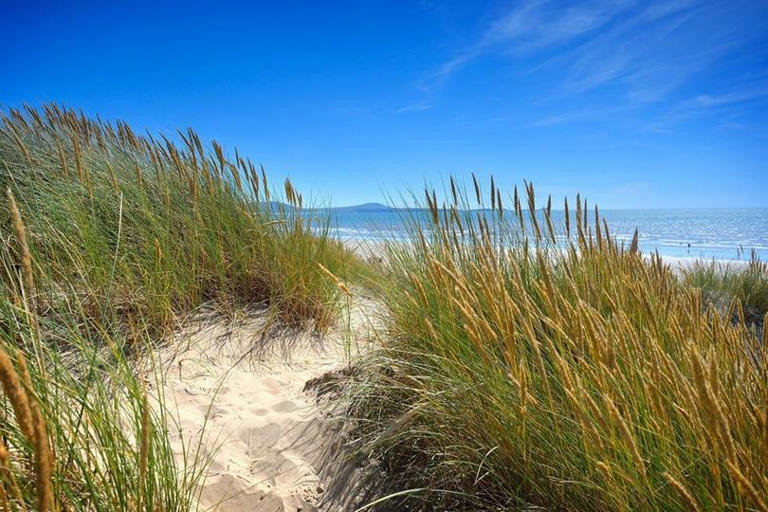 💙🏖️ Wonderful News for Cefn Sidan and Pembrey Country Park 🏖️💙