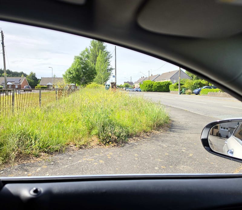 🌿 Grass Cutting and Visibility Concerns 🌿