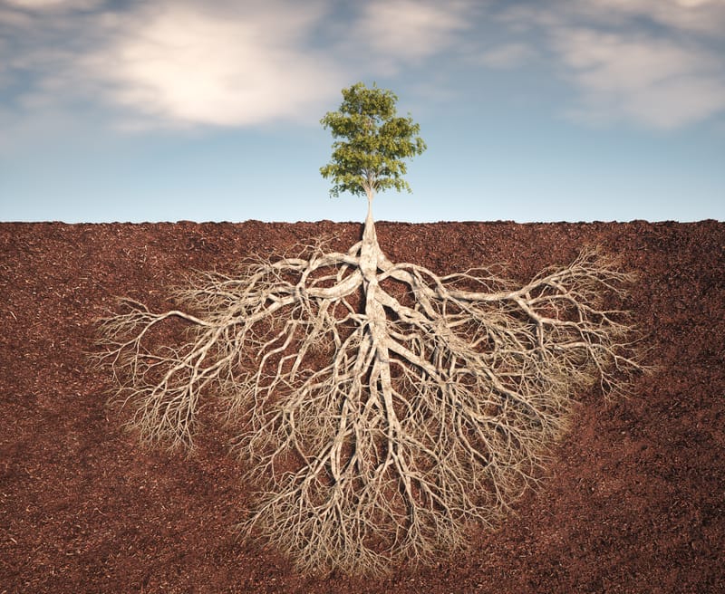 Croissance Personnelle