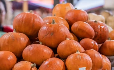It's Pumpkin Season