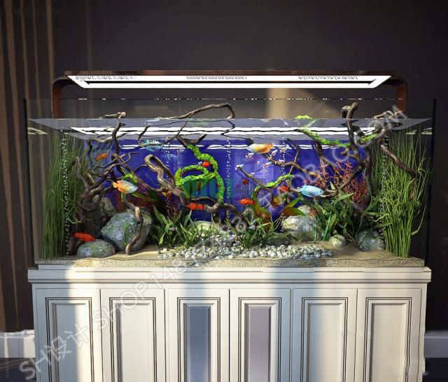 "لديك صلاحية وصول محدوده"