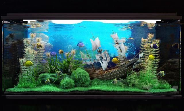 "لديك صلاحية وصول محدوده"