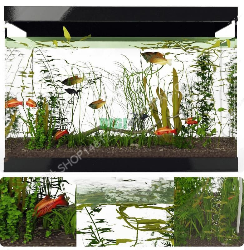 "لديك صلاحية وصول محدوده"