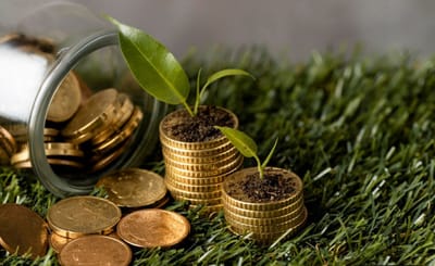 Не допущено стягнення дивідендів понад 1,8 млн грн. з агропідприємства